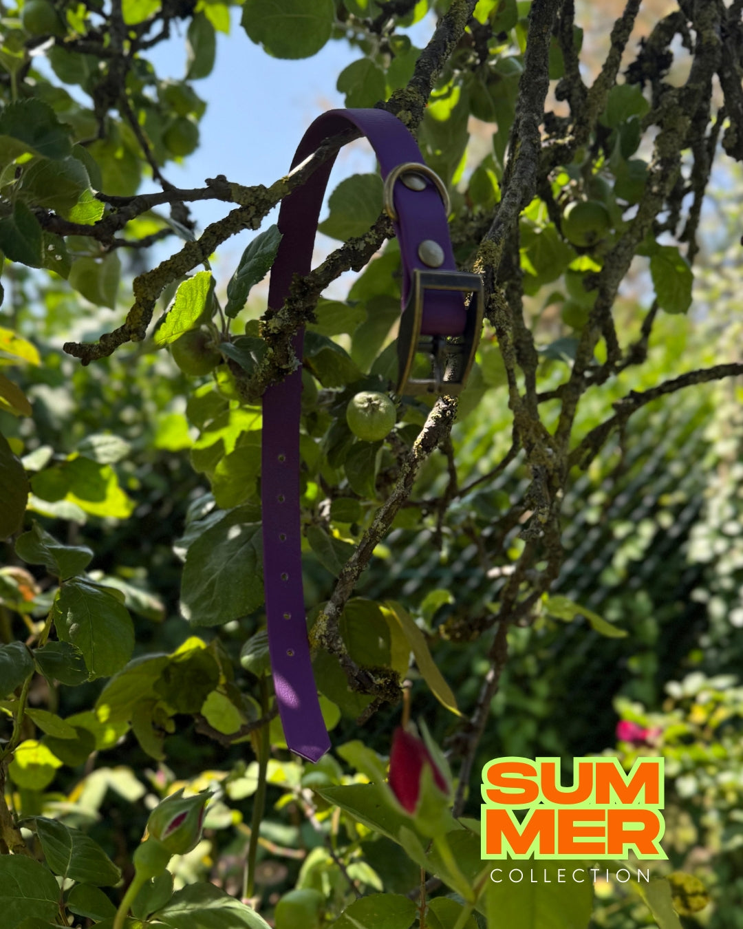 Collier Violet EDITION LIMITEE