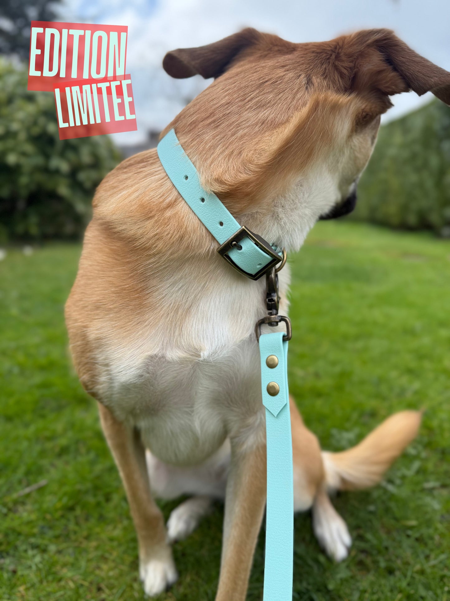 Collier Azur EDITION LIMITEE