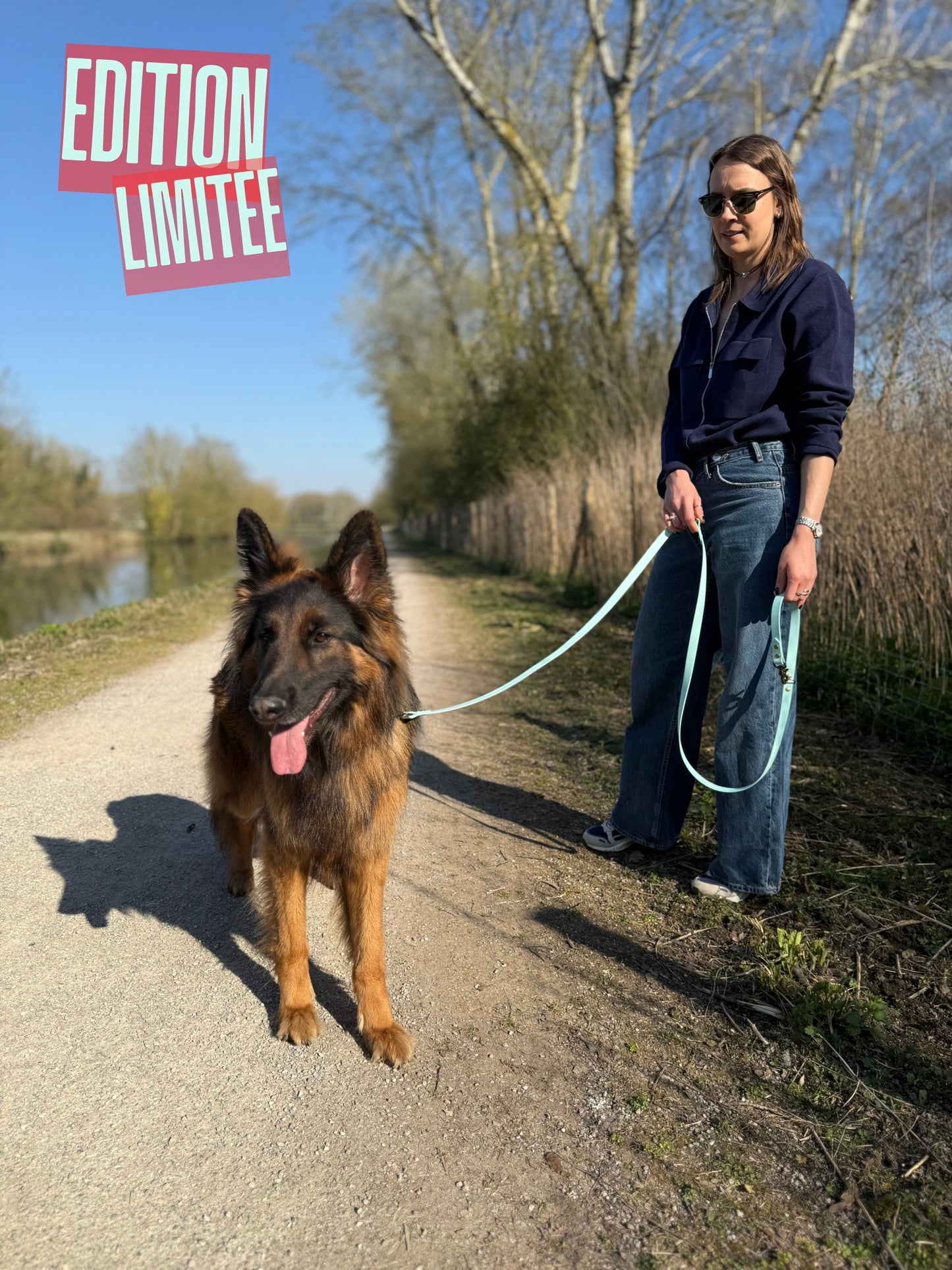 Laisse multi-positions Azur EDITION LIMITEE