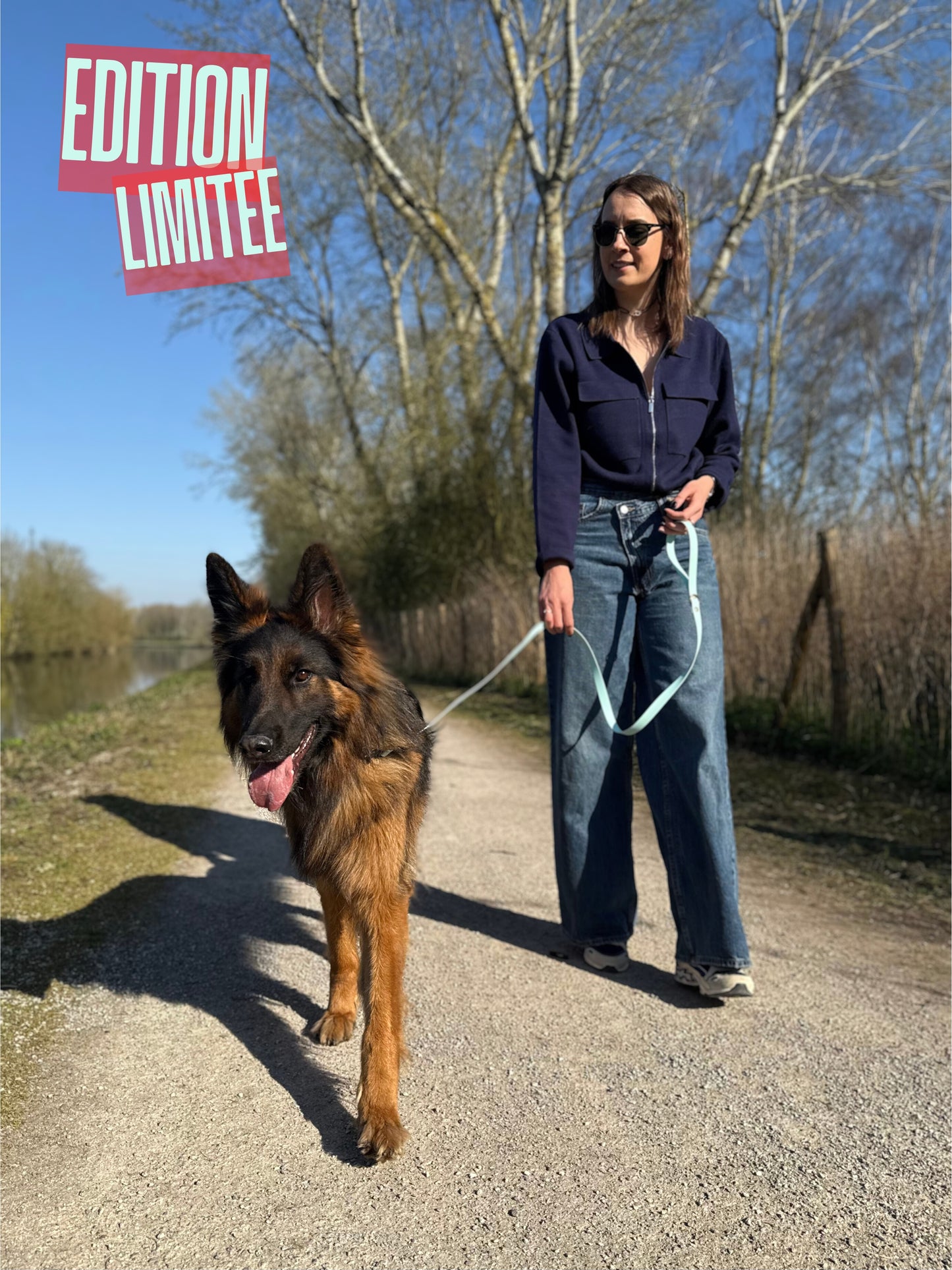 Laisse classique Azur EDITION LIMITEE