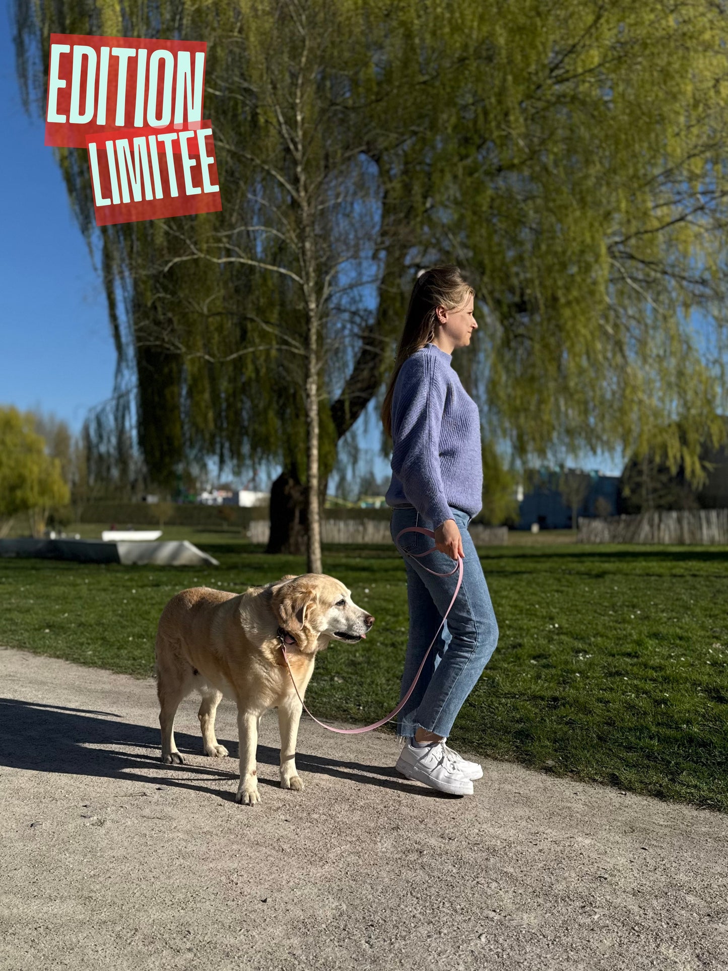 Laisse classique Guimauve EDITION LIMITEE